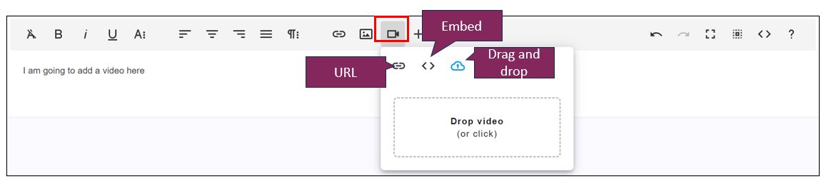 Froala Editor 3c.JPG