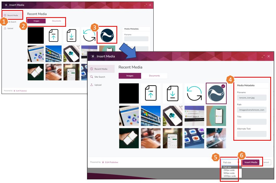 Froala Editor 5b.JPG
